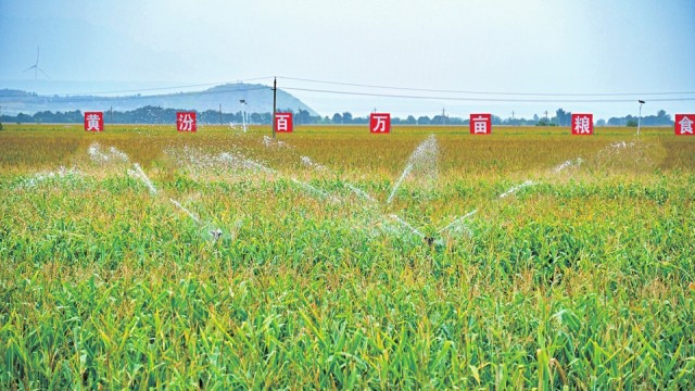 田野“丰”景美如画 ——写在第七个“中国农民丰收节”到来之际